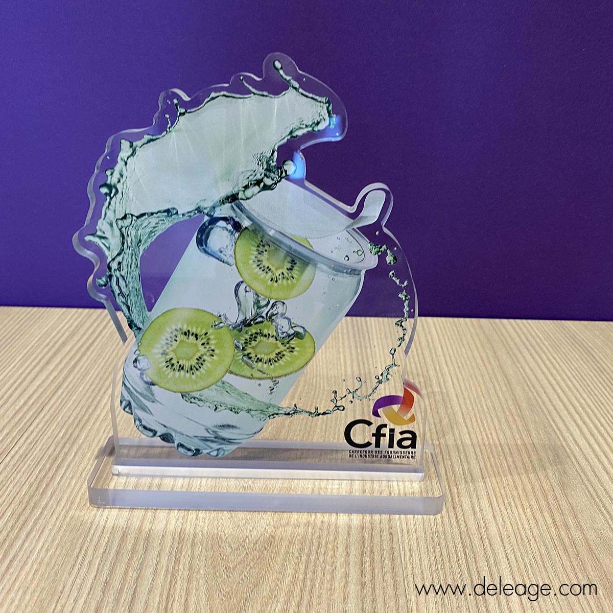 trophee-plexi-personnalise-6 Trophee plexi personnalise