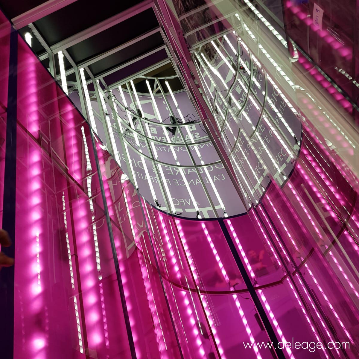 T3-exposition-stand-neon T3 exposition stand neon
