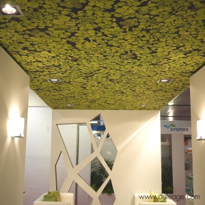 Décor plafond tissu tendu — Impression mur sol plafond