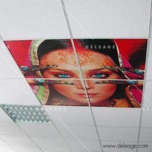 Dalles de plafond — Décor imprimé DALLE DE PLAFOND 600 x 600 mm (vue 5)
