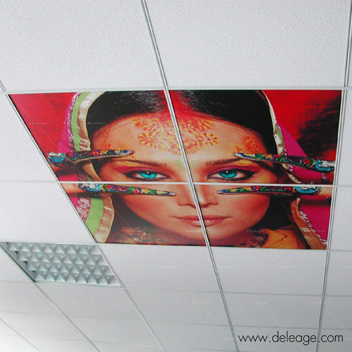 dalles-de-plafond-5.jpg Dalles de plafond — Décor imprimé DALLE DE PLAFOND 600 x 600 mm (vue 5)