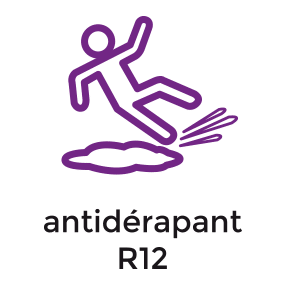 Picto antiderapant r12