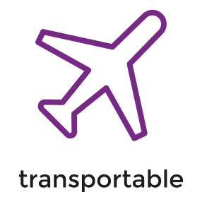 Picto transportable avion
