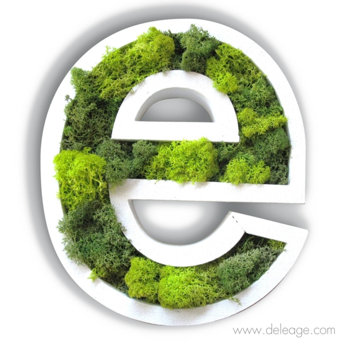 simple-lettre-vegetale Simple lettre vegetale