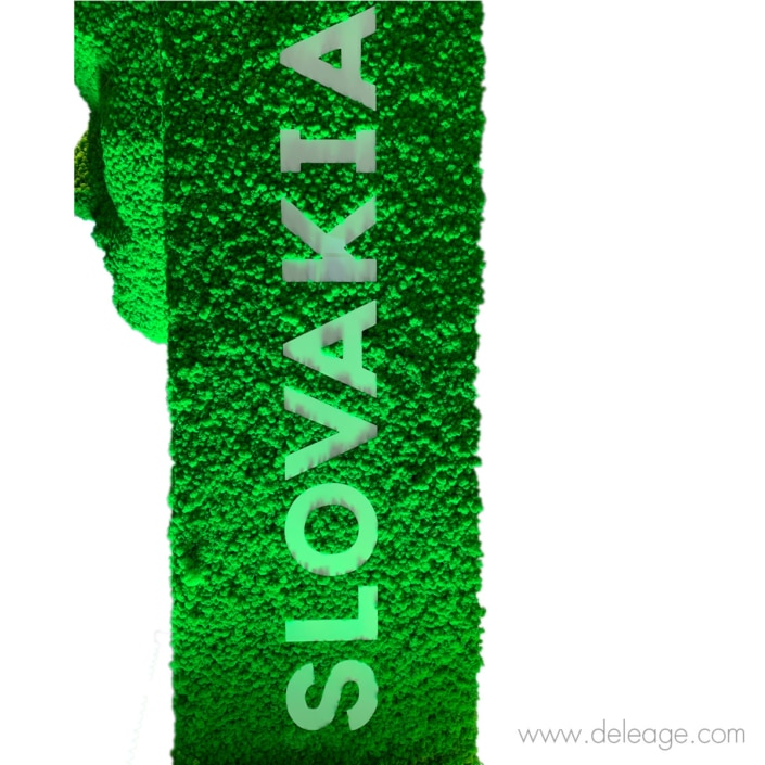 Slovakia Slovakia