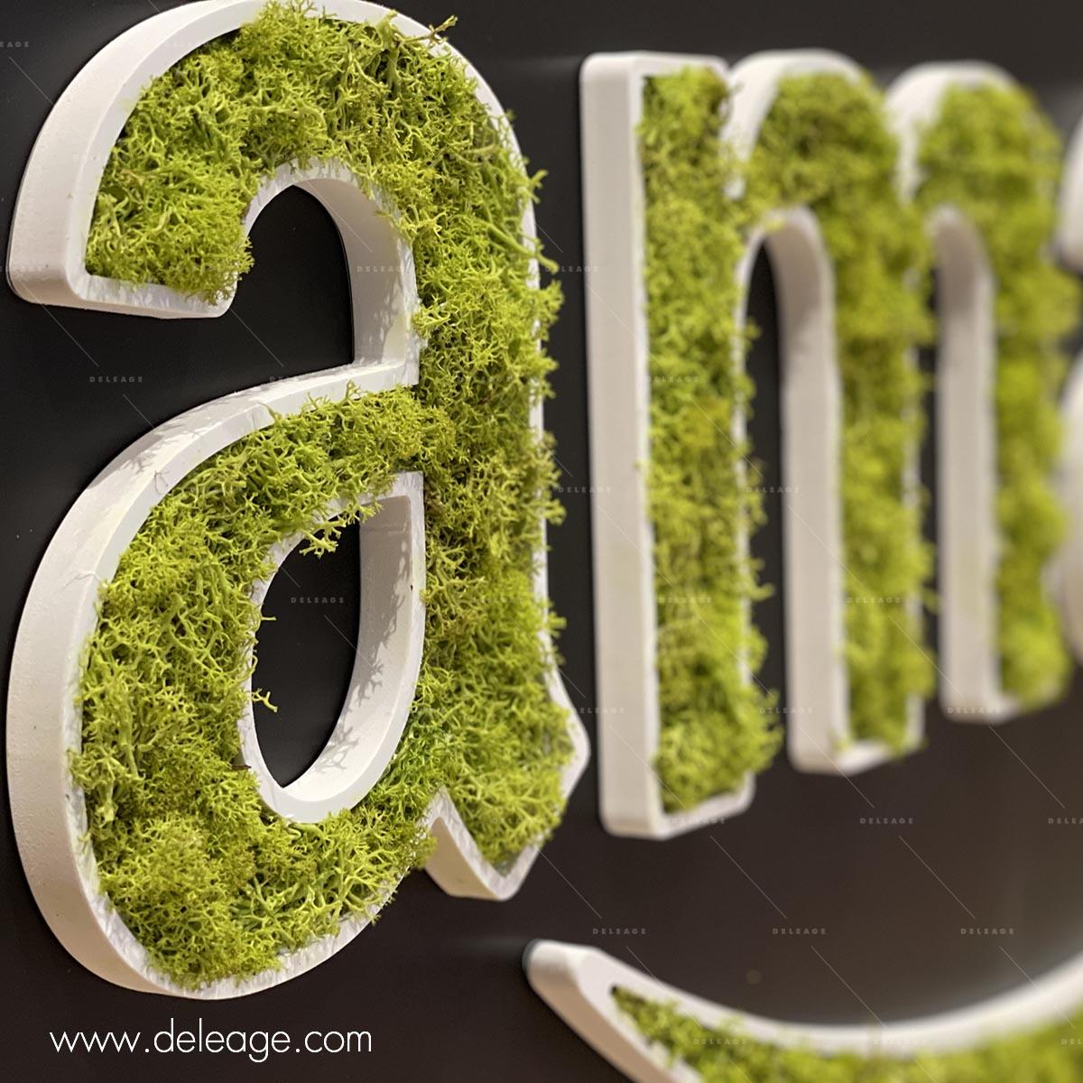 logo-vegetalise-creux Logo vegetalise creux