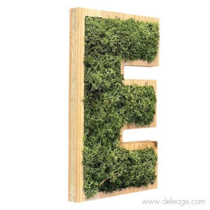 Lettre bois douglas et végétal 1 d — Lettre et logo VEGETALISE