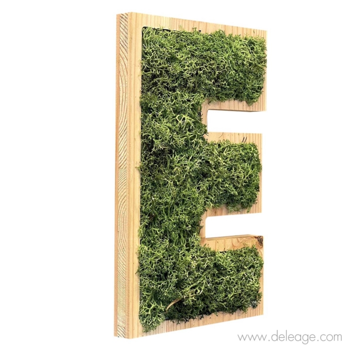 lettre-bois-douglas-et-vegetal-1-d Lettre bois douglas et végétal 1 d — Lettre et logo VEGETALISE