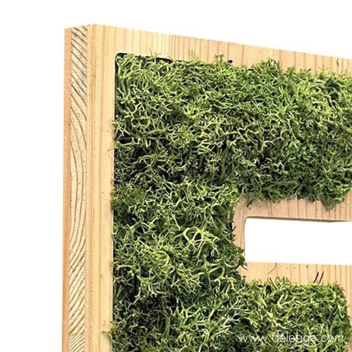 lettre-bois-douglas-et-vegetal-1-dZ Lettre bois douglas et végétal 1 dZ — Lettre et logo VEGETALISE