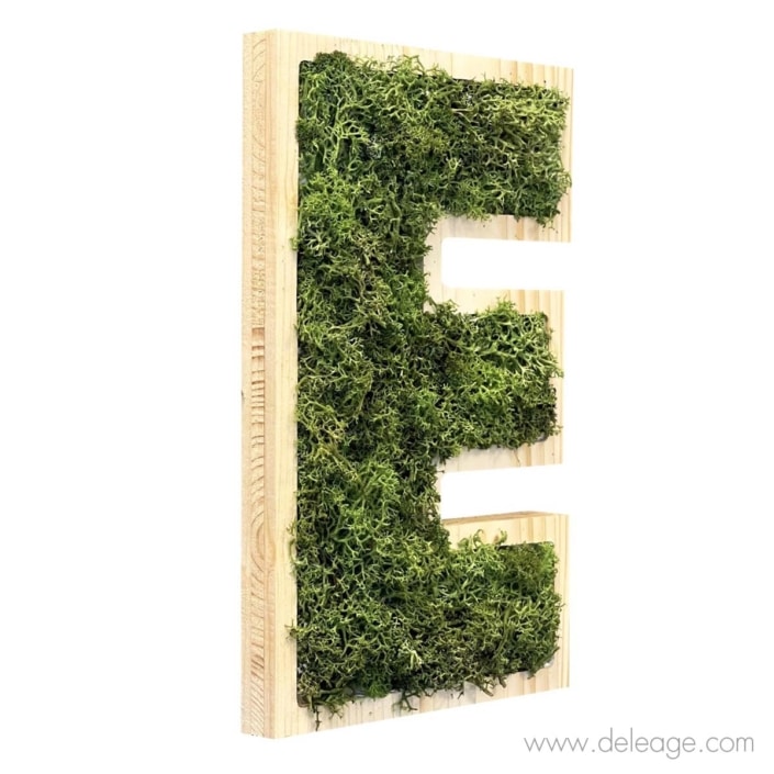 lettre-bois-epicea-et-vegetal-1-d Lettre bois epicea et végétal 1 d — Lettre et logo VEGETALISE