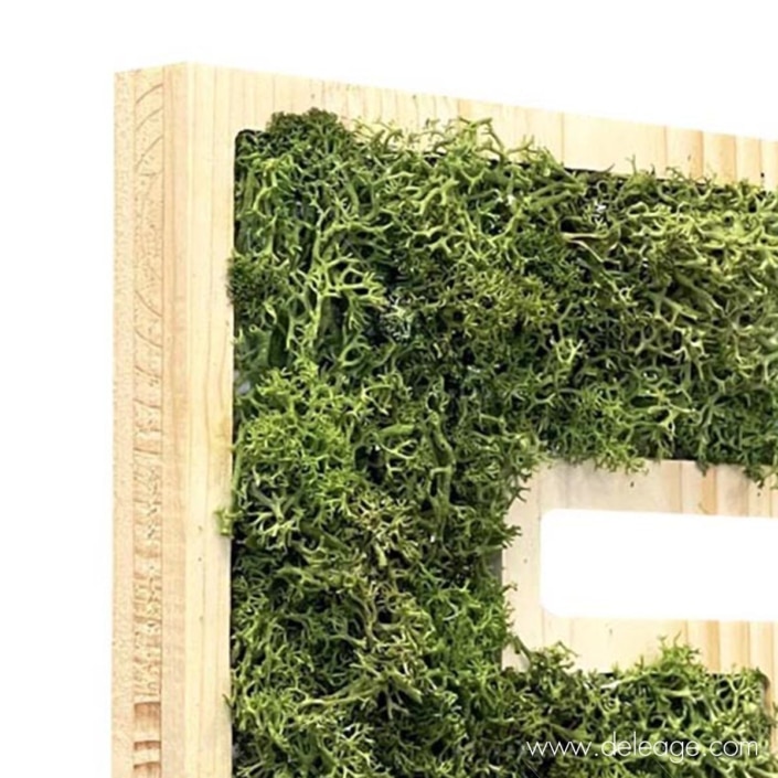 lettre-bois-epicea-et-vegetal-1-dZ Lettre bois epicea et végétal 1 dZ — Lettre et logo VEGETALISE