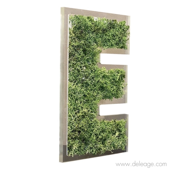 lettre-plexi-10mm-et-epicea-vegetal-2-d Lettre plexi 10mm et epicea végétal 2 d — Lettre et logo VEGETALISE
