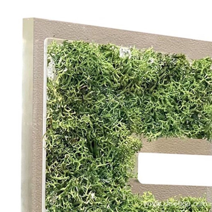 lettre-plexi-10mm-et-epicea-vegetal-2-dZ Lettre plexi 10mm et epicea végétal 2 dZ — Lettre et logo VEGETALISE