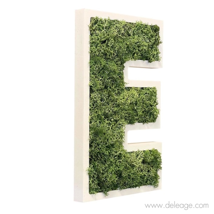 lettre-pvc-blanc-19mm-et-vegetal-2-d Lettre PVC blanc 19mm et végétal 2 d — Lettre et logo VEGETALISE