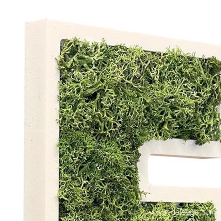 lettre-pvc-blanc-19mm-et-vegetal-2-dZ Lettre PVC blanc 19mm et végétal 2 dZ — Lettre et logo VEGETALISE