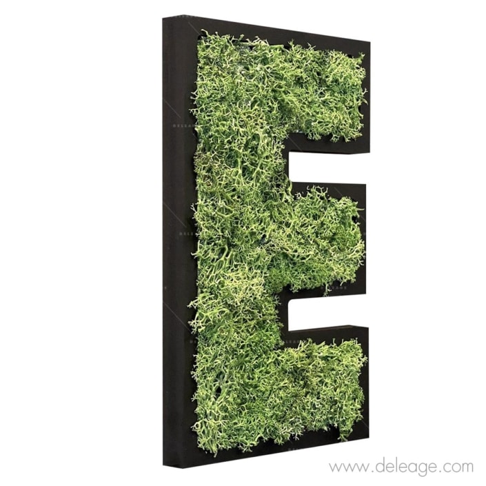 lettre-pvc-noir-19mm-et-vegetal-1-d Lettre PVC noir 19mm et végétal 1 d — Lettre et logo VEGETALISE