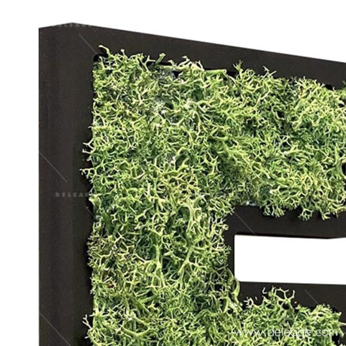 lettre-pvc-noir-19mm-et-vegetal-1-dZ Lettre PVC noir 19mm et végétal 1 dZ — Lettre et logo VEGETALISE