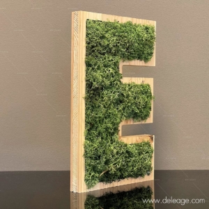 Lettre bois douglas et vegetal