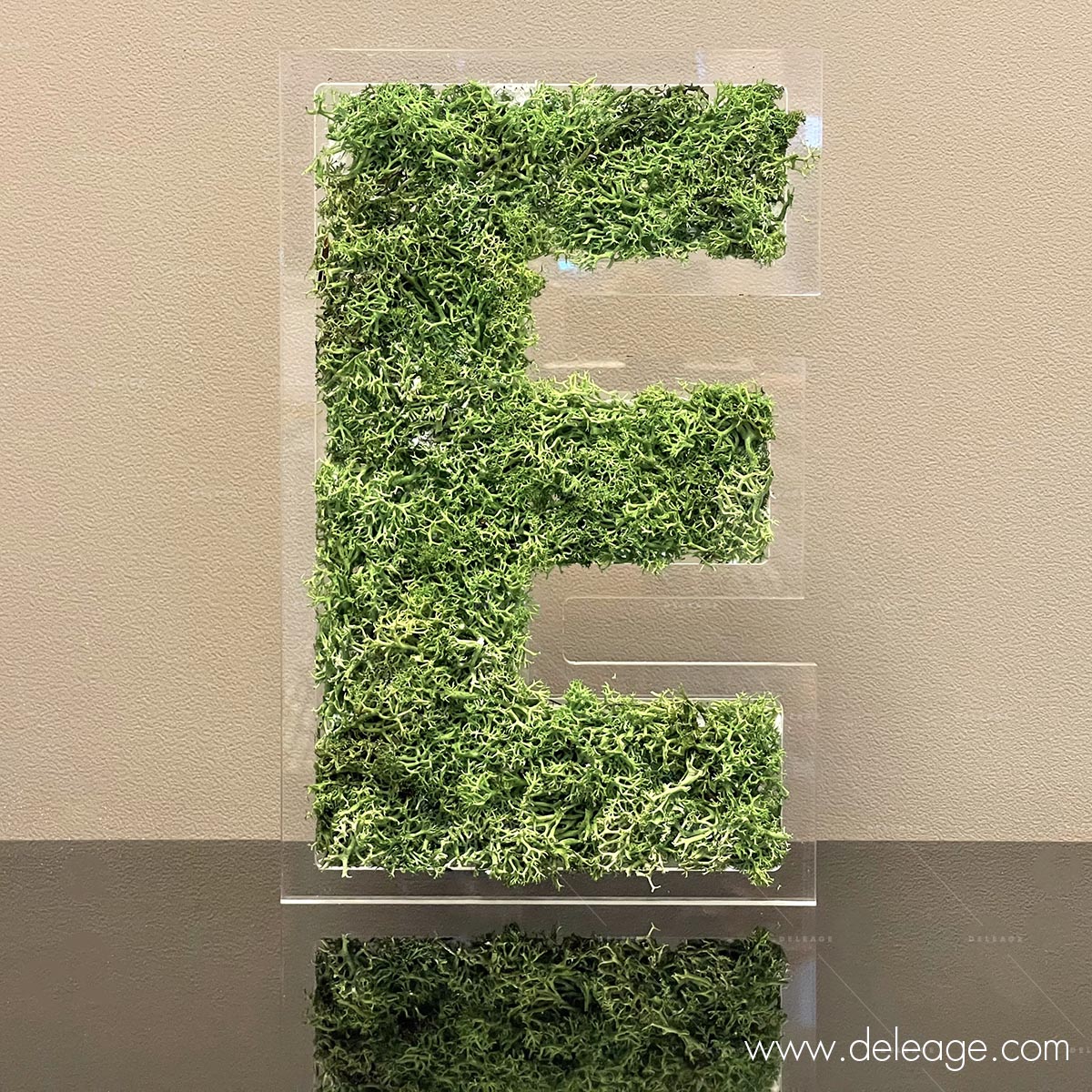 lettre-plexi-10mm-et-epicea-vegetal-1 Lettre plexi 10mm et epicea vegetal