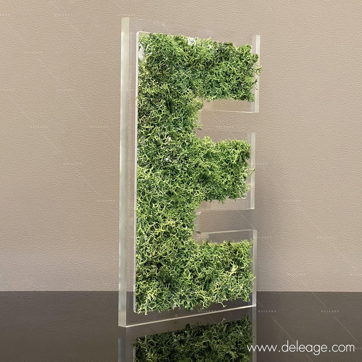 lettre-plexi-10mm-et-epicea-vegetal-2 Lettre plexi 10mm et epicea vegetal