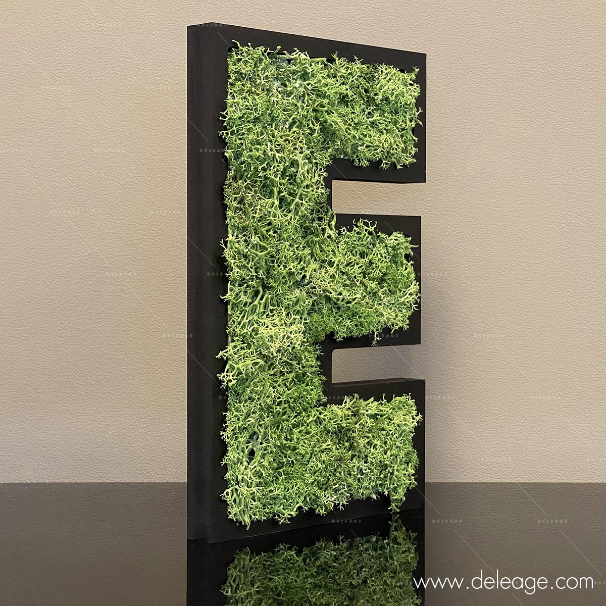 lettre-pvc-noir-19mm-et-vegetal-1 Lettre pvc noir 19mm et vegetal