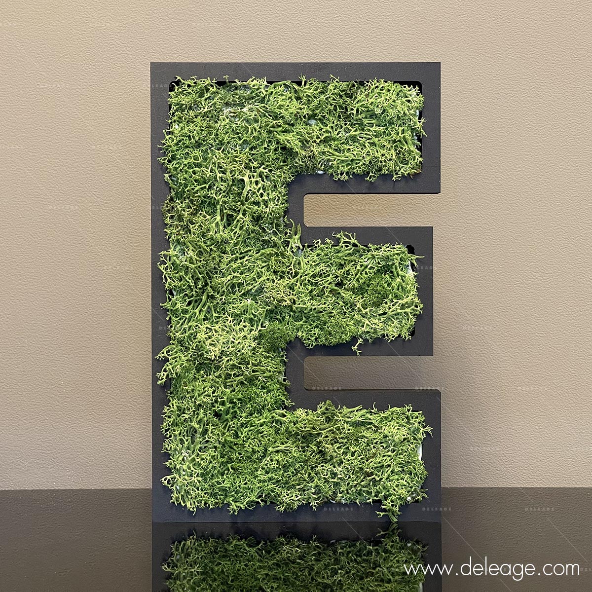 lettre-pvc-noir-19mm-et-vegetal-2 Lettre pvc noir 19mm et vegetal