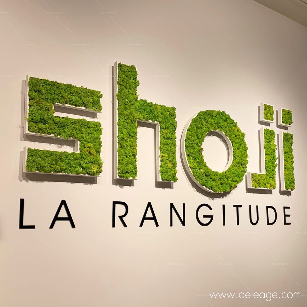 Logo-vegetal-1 Logo végétal — Pour votre ZENITUDE, commandez votre logo en version végétale !