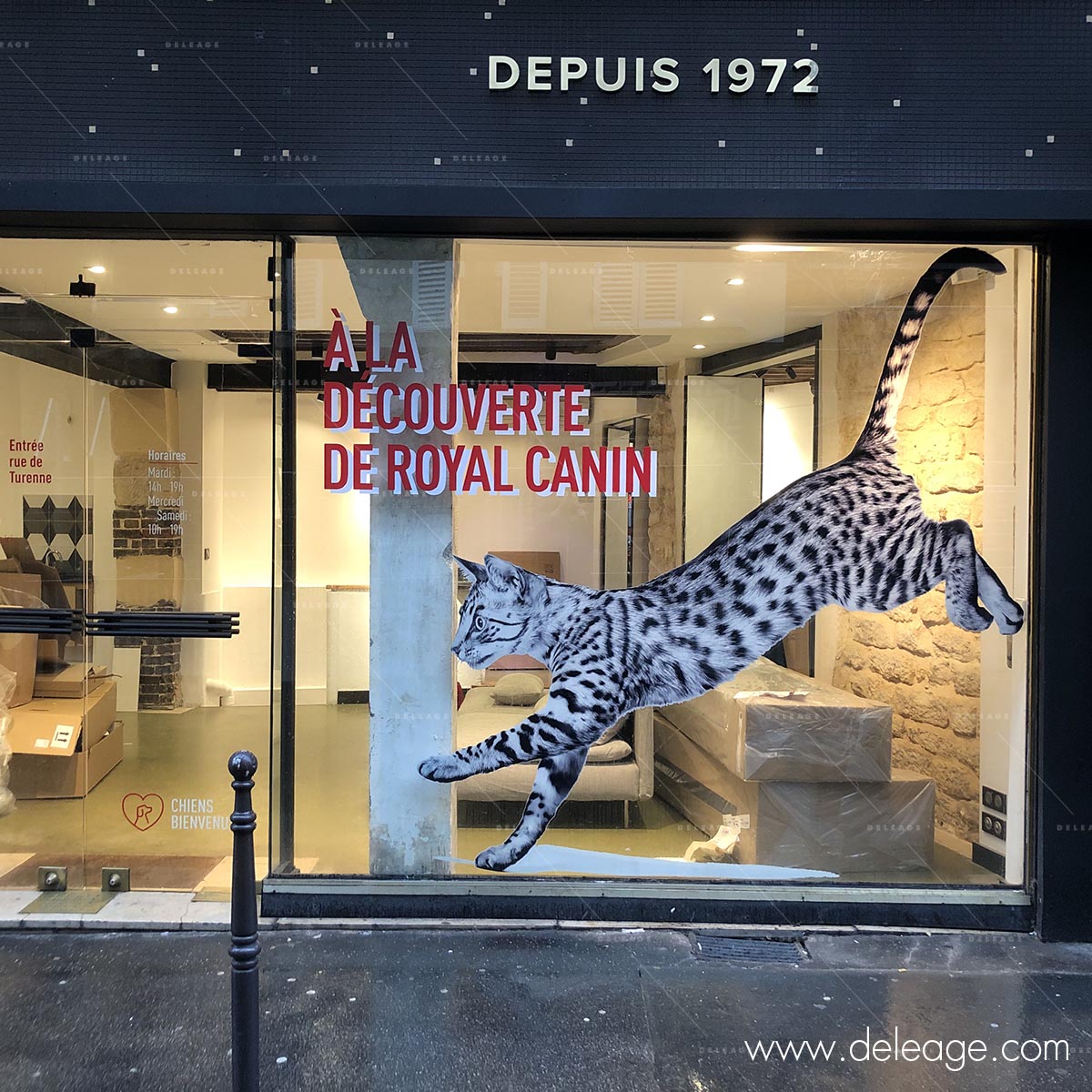 impression-vitrine Impression vitrine — ROYAL CANIN : Un décor spectaculaire qui a du chien !