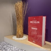 Livre polystyrène geant 1m — Le nouveau GUIDE MICHELIN 2022 mesure 2 mètres ! (vue 5)