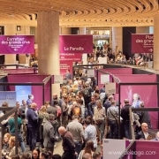 Signalétique kakémonos vue generale du salon