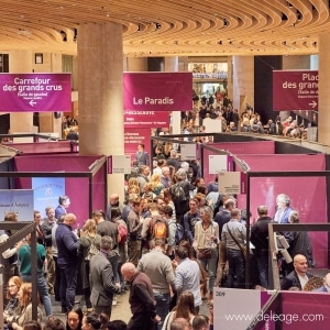 Signalétique kakémonos vue generale du salon