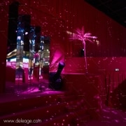 Décor miroire et palmier — La DECORATION du salon WSN en TOTAL LOOK ROSE